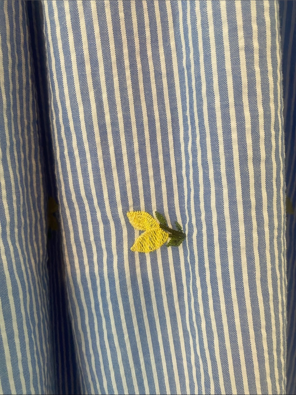 Blue & White Striped A-Line Midi Skirt with Yellow Floral Embroidery - Picture 4 of 6